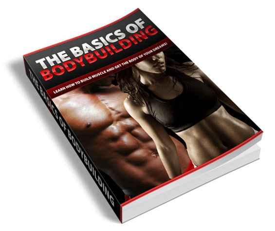 The Basics Of Bodybuilding The Basics Of Bodybuilding