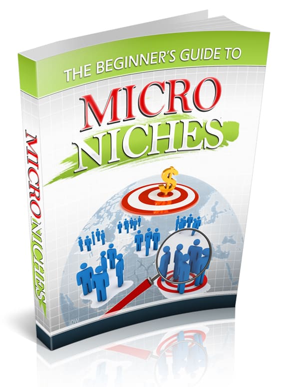 The Beginner’s Guide to Micro Niches cover image showing niche marketing roadmap