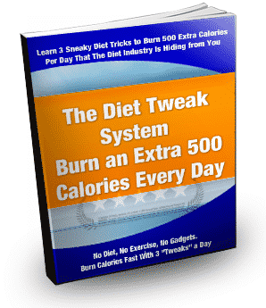 The Diet Tweak System digital book cover – weight loss with tweaks and resell rights