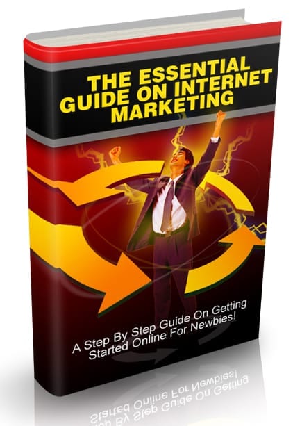 The Essential Guide on Internet Marketing - digital download with PLR resell rights for new online entrepreneurs