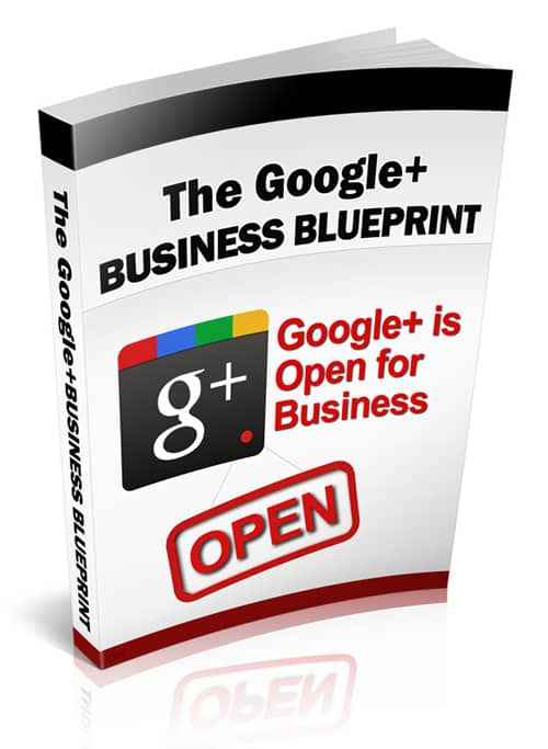 The Google+ Business Blueprint: a comprehensive guide to Google+ social media marketing for businesses