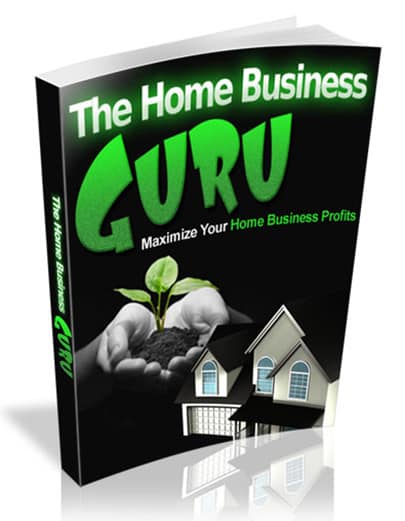 The Home Business Guru - digital PLR guide for home web business success