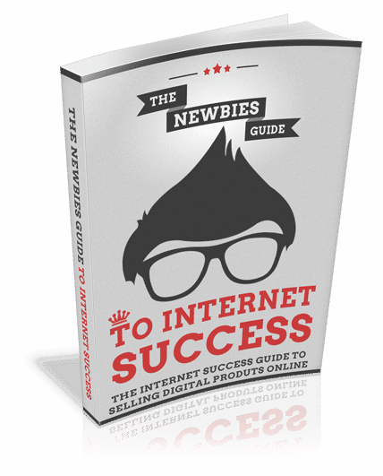 PLR ebook for beginner internet success and online selling strategies