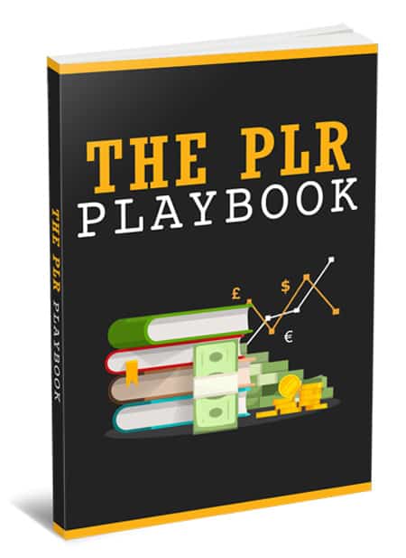 PLR profit guide digital download with resell rights showing book cover and strategies