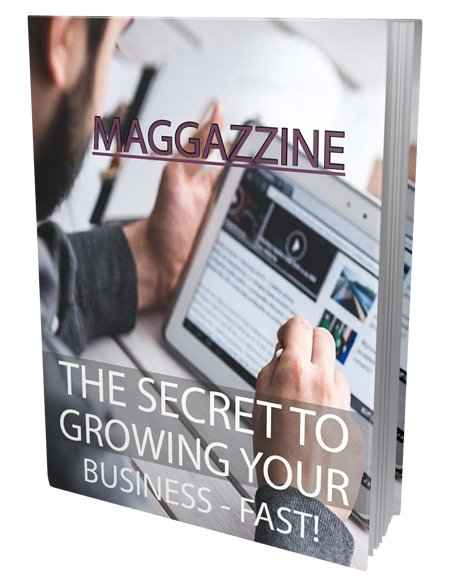 Digital PLR eBook cover for business growth secrets with resell rights