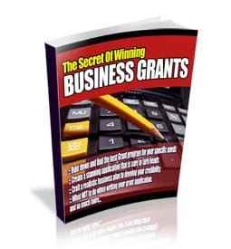 Secrets Of Winning Business Grants digital PLR eBook cover image