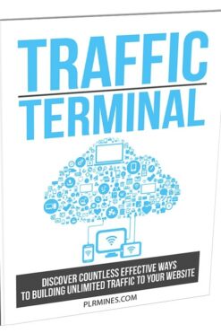 Traffic Terminal