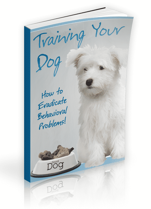 Dog training guide cover with PLR resell rights for instant digital download
