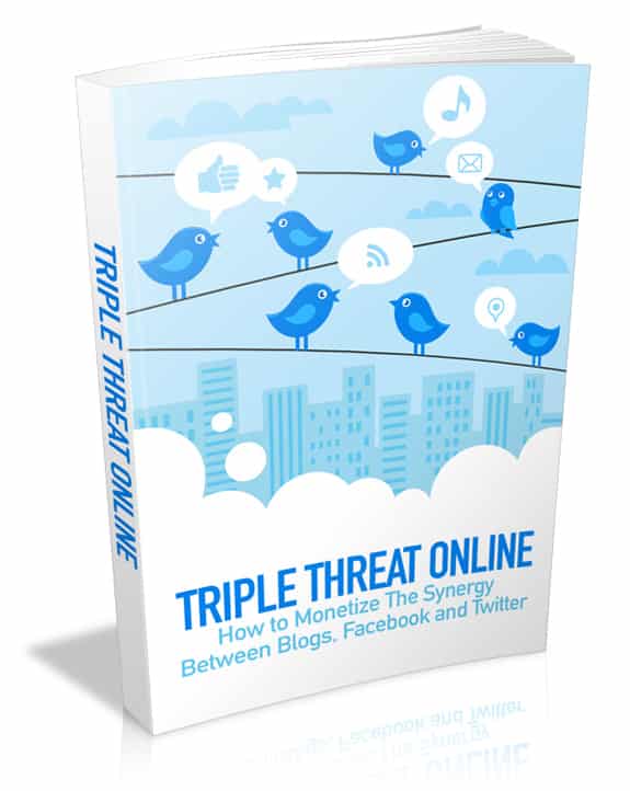 Triple Threat Online digital e-book cover showing blog, Facebook, and Twitter integration for marketing success