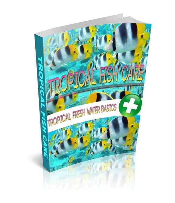 Tropical fish care ebook and PLR resell rights package for aquarium enthusiasts and marketers