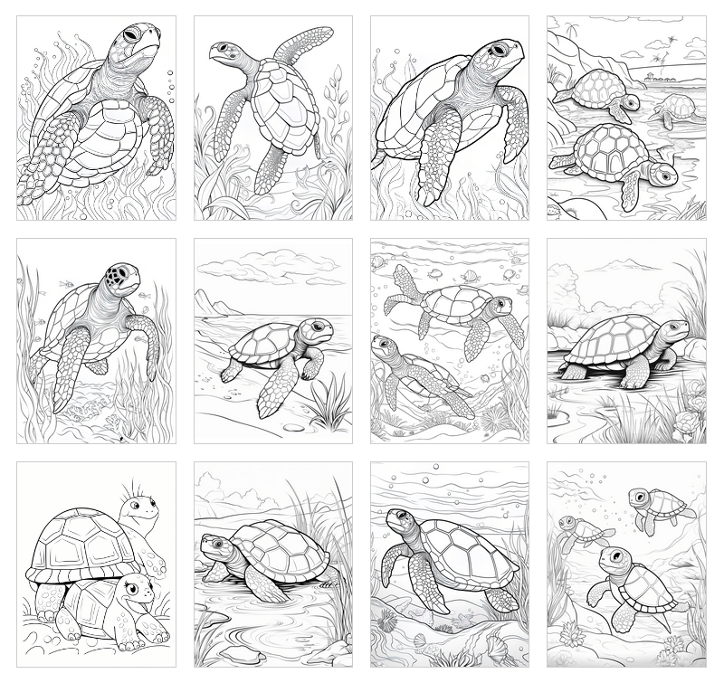Turtle coloring book sheets for kids PLR digital download – fun turtle designs for resell rights