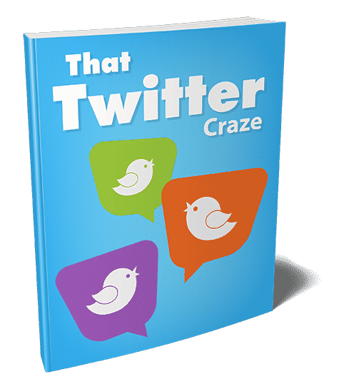 The Twitter Craze eBook cover showing a bird on a blue Twitter-themed background