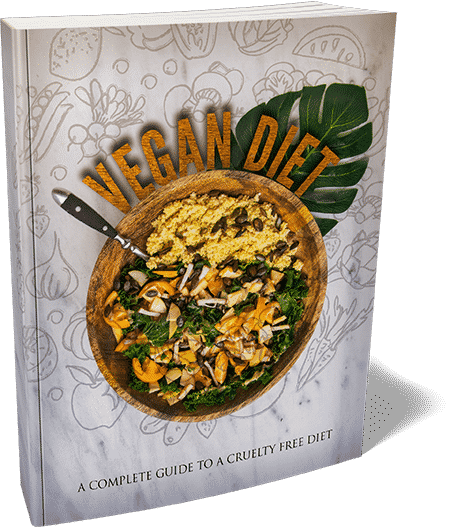 Vegan diet eBook cover featuring fresh vegetables and plant-based foods for digital download PLR