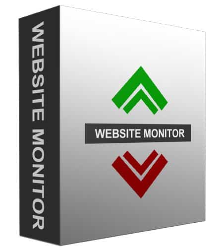 Website monitor tool screenshot showing real-time uptime detection for online businesses