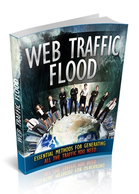 Web Traffic Flood digital guide with PLR MRR resell rights for traffic generation methods