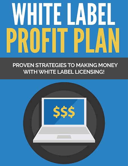 Private label information product business guide with PLR resell rights strategies for digital downloads