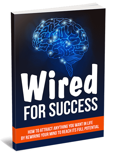 Wired Success digital PLR guide - reprogram your mind for attracting abundance and success