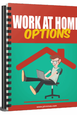 Work at Home Options
