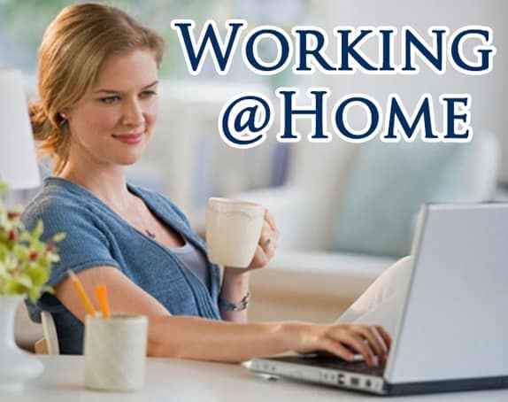 Work From Home Riches digital PLR report blueprint for self-employed entrepreneurs