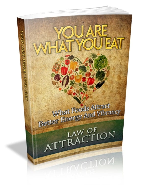 You Are What You Eat digital guide with PLR resell rights for better energy and vibrancy