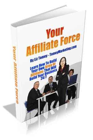 Your Affiliate Force digital guide for creating a profitable affiliate program with PLR MRR resell rights