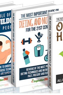 collection of 3 volume 26